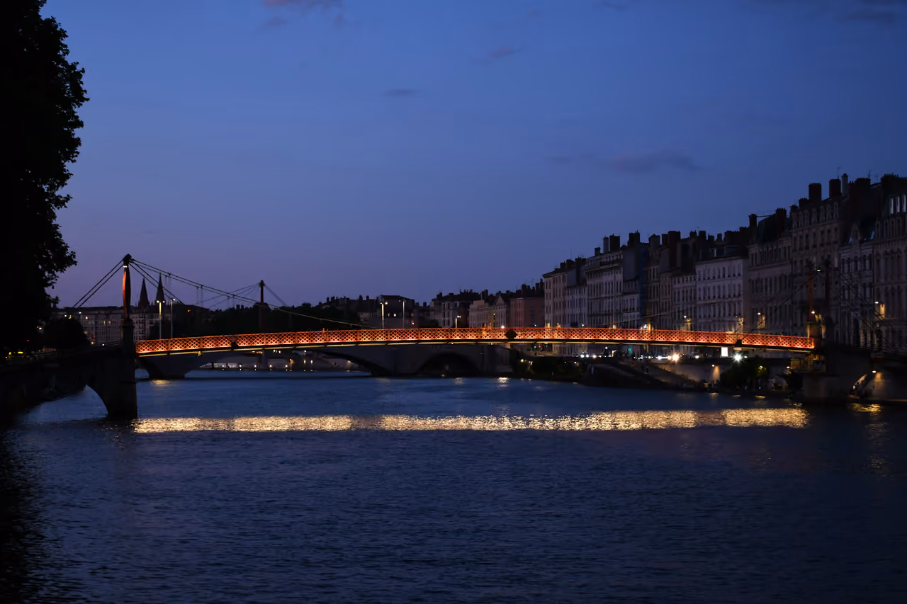 Passerelle Paul Couturier pedestrian bridge illuminated at night over the Saone river