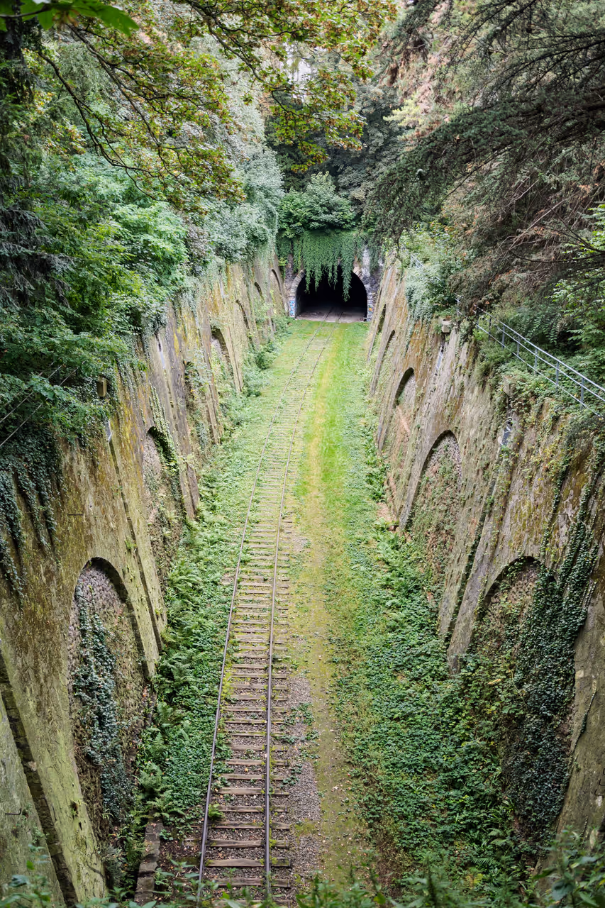 Hiking the petite ceinture in Paris