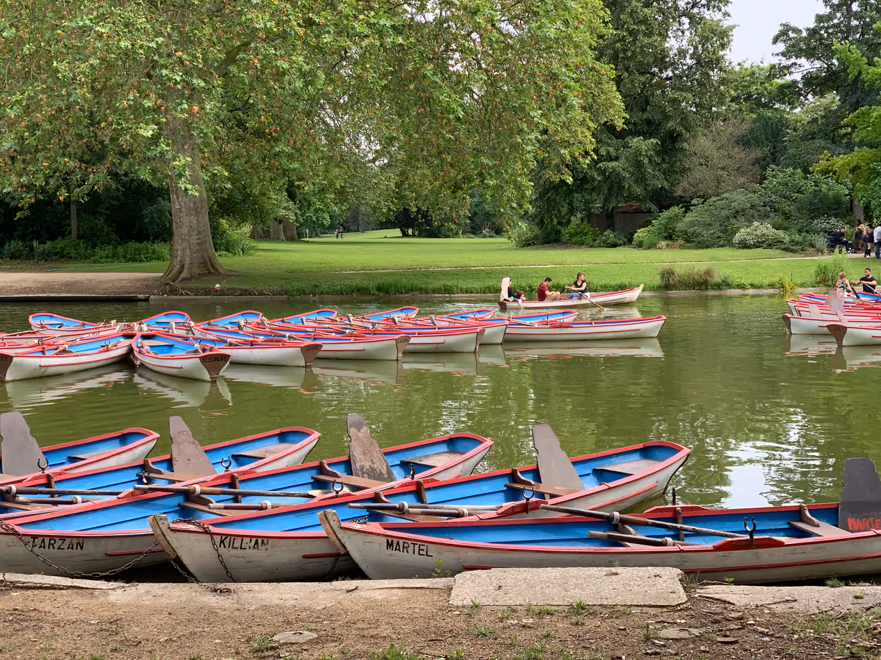 Rowing on daumesnil lake in Paris
