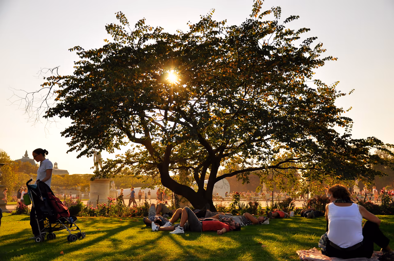 Resting man in the Tuileries Garden