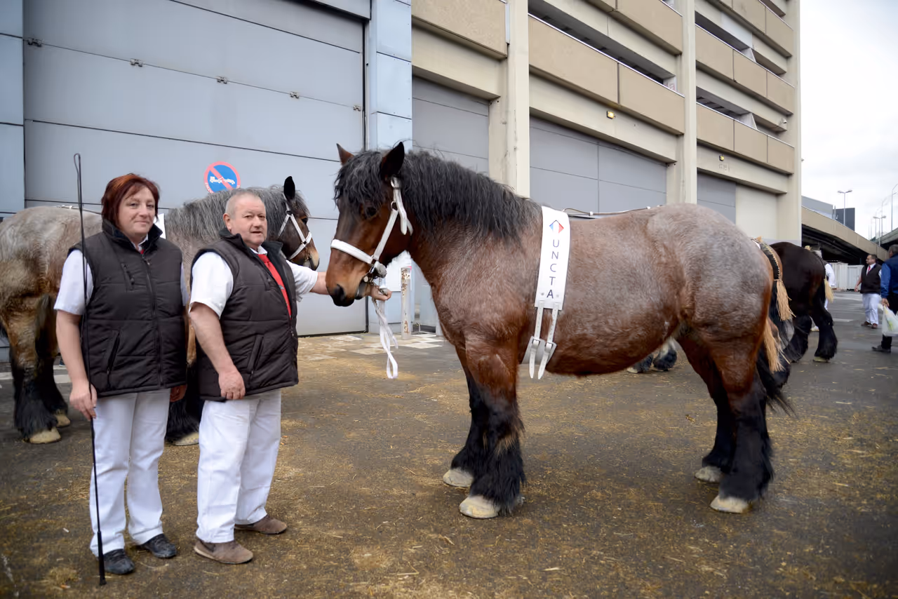 International agricultural show festival in Paris