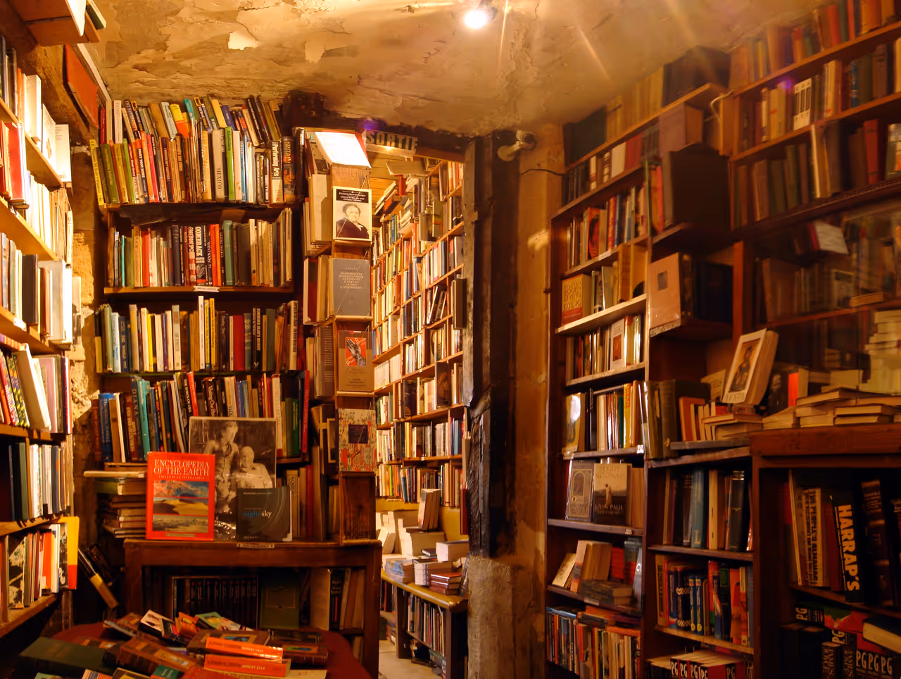 Browse shakespeare and company in Paris