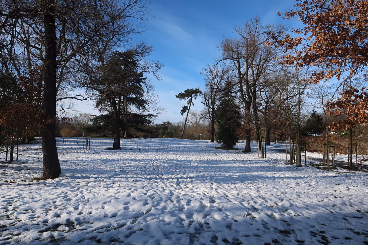 Bois de boulogne covered by snow