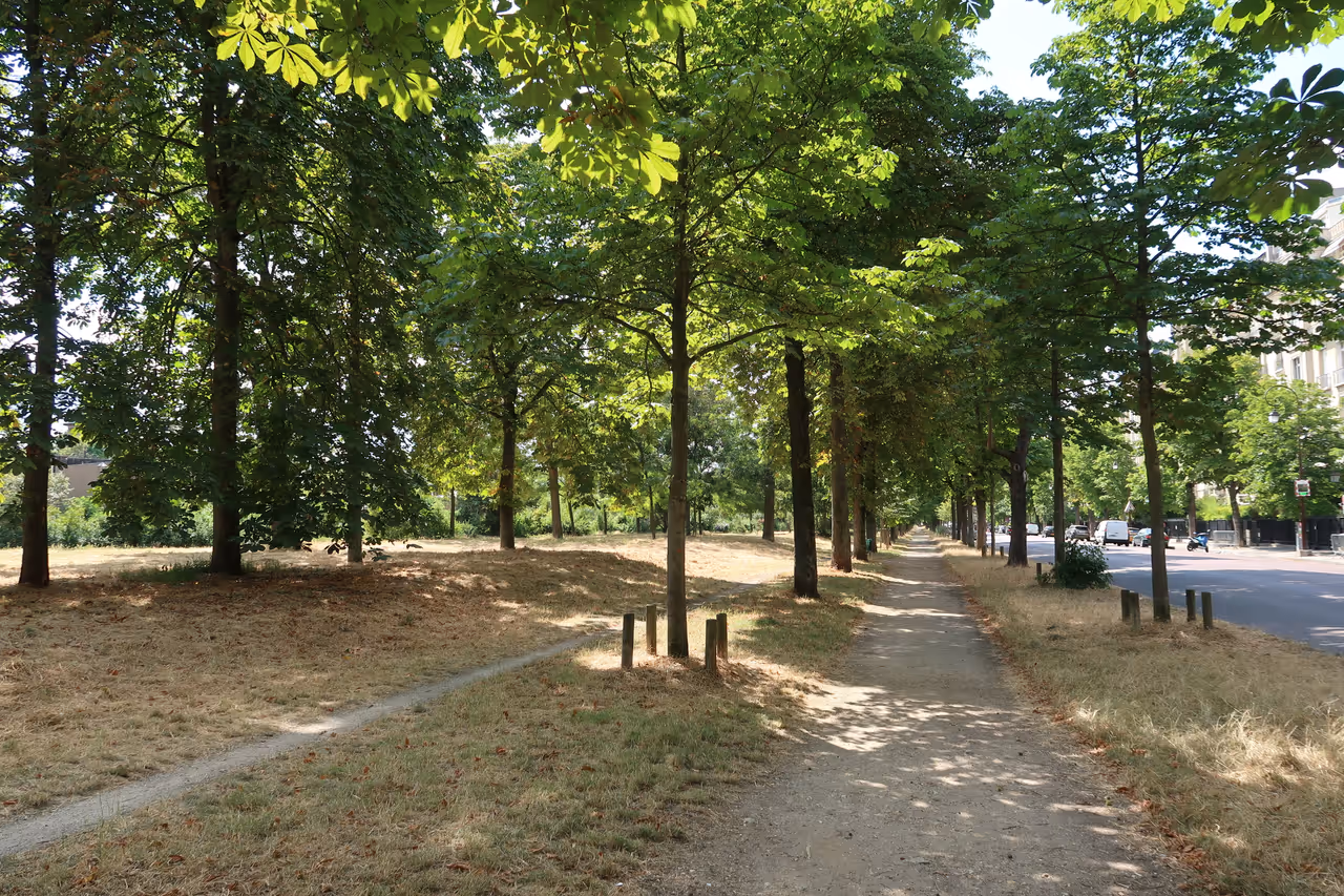 Bois de boulogne in Paris