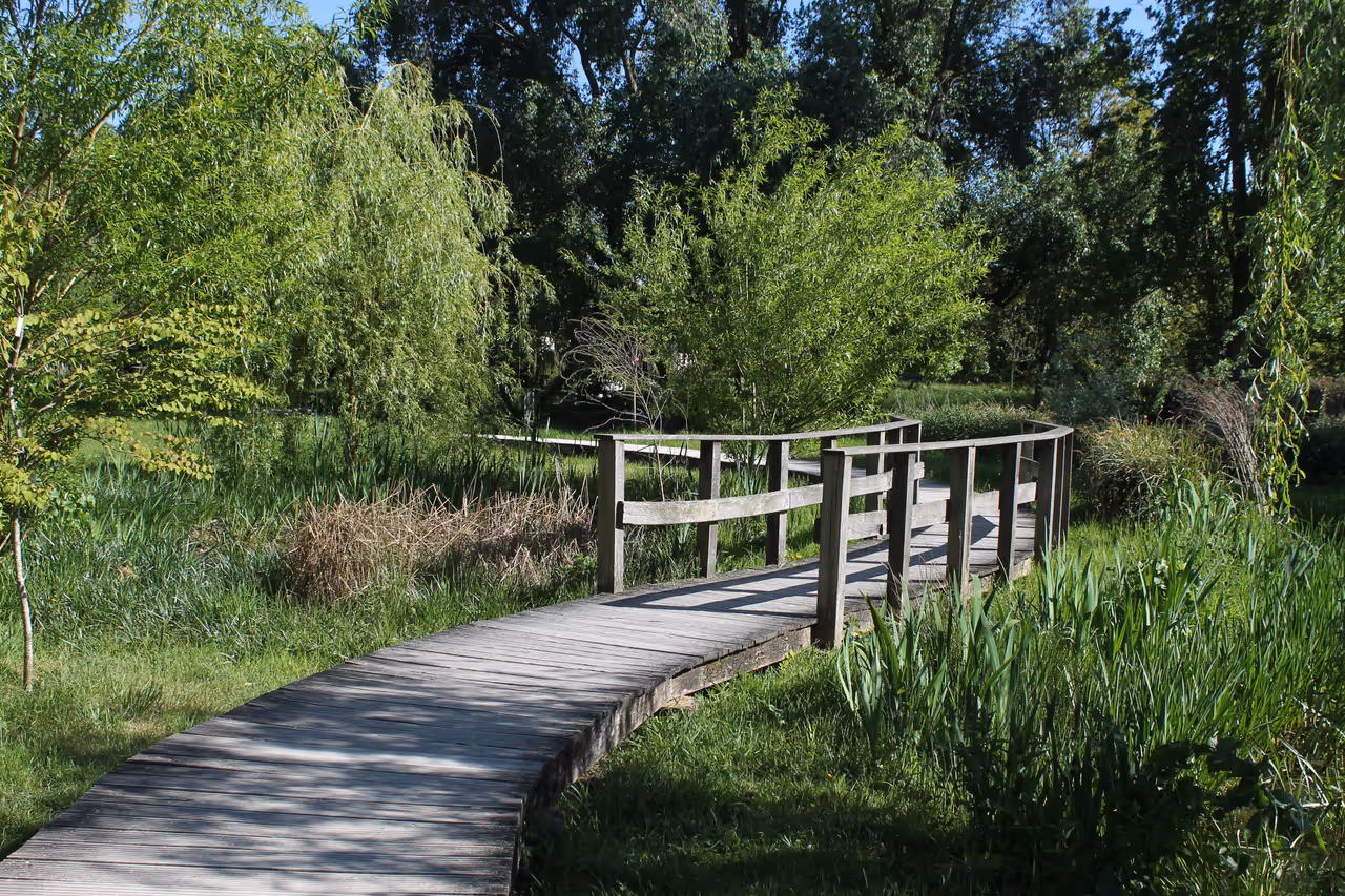 Bois de vincennes in Paris