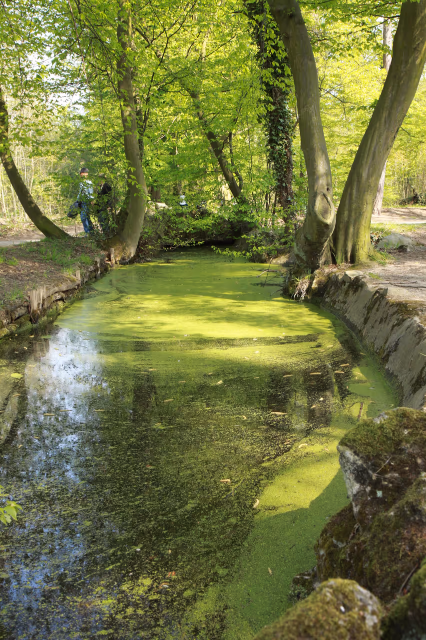 Bois de vincennes in Paris