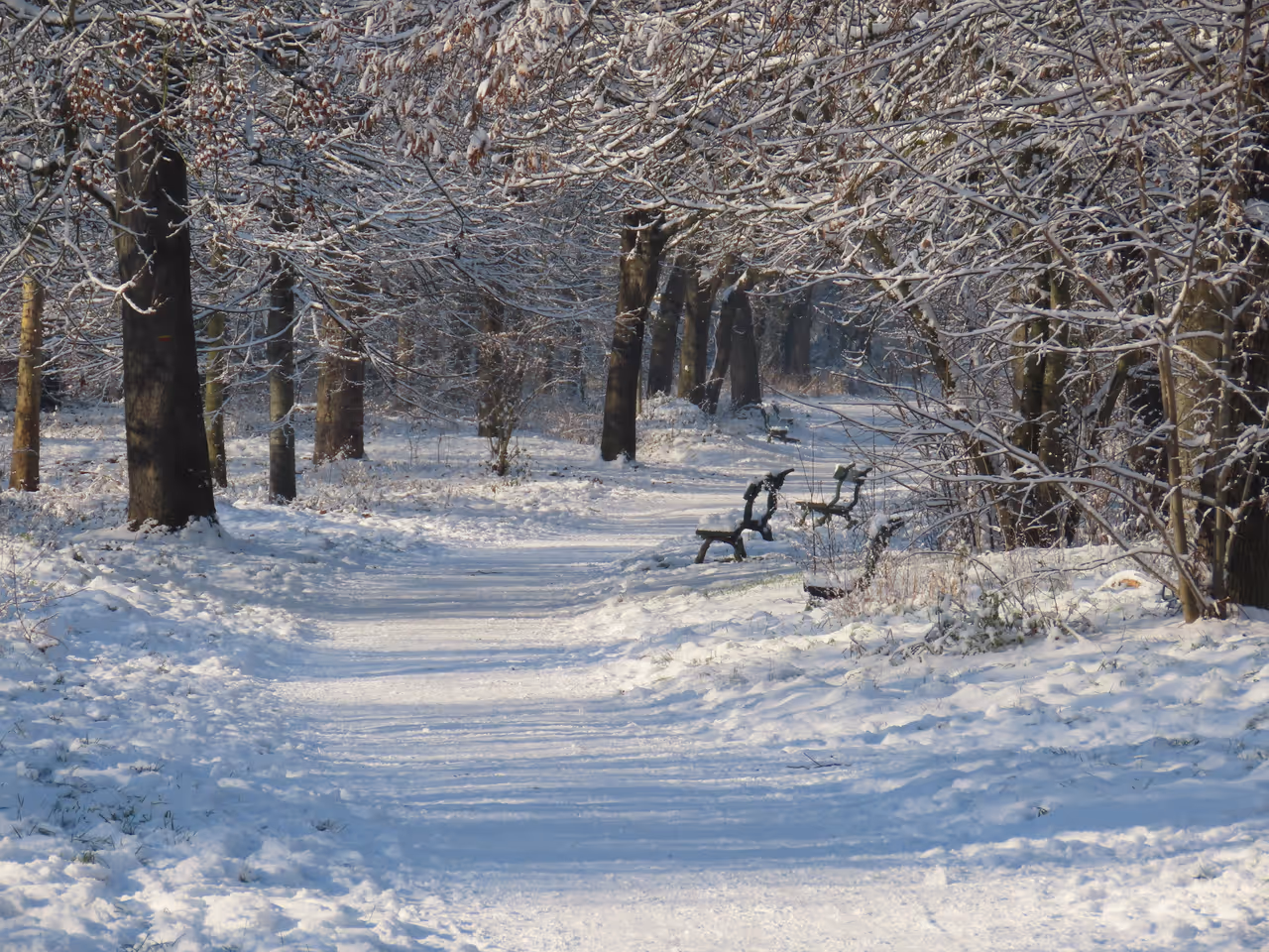 Covered by snow benches in the Bois de vincennes
