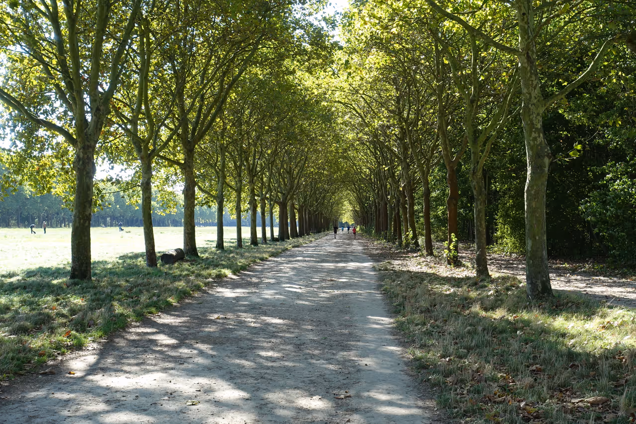 Bois de vincennes in Paris