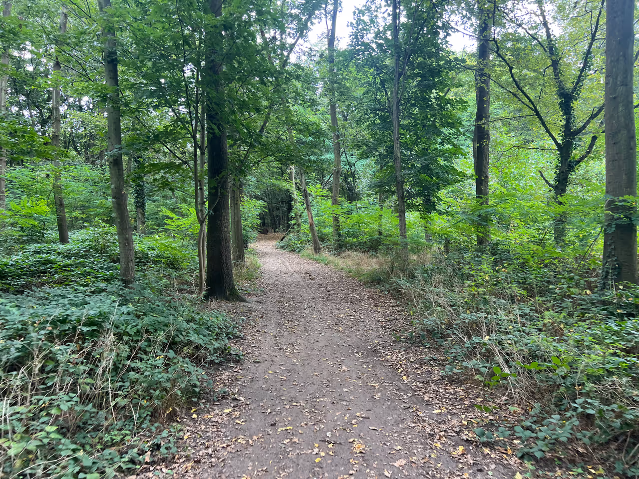 Bois de vincennes in Paris