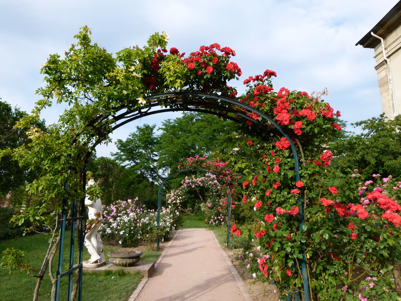 Rose walk at the Jardin des plantes in Paris