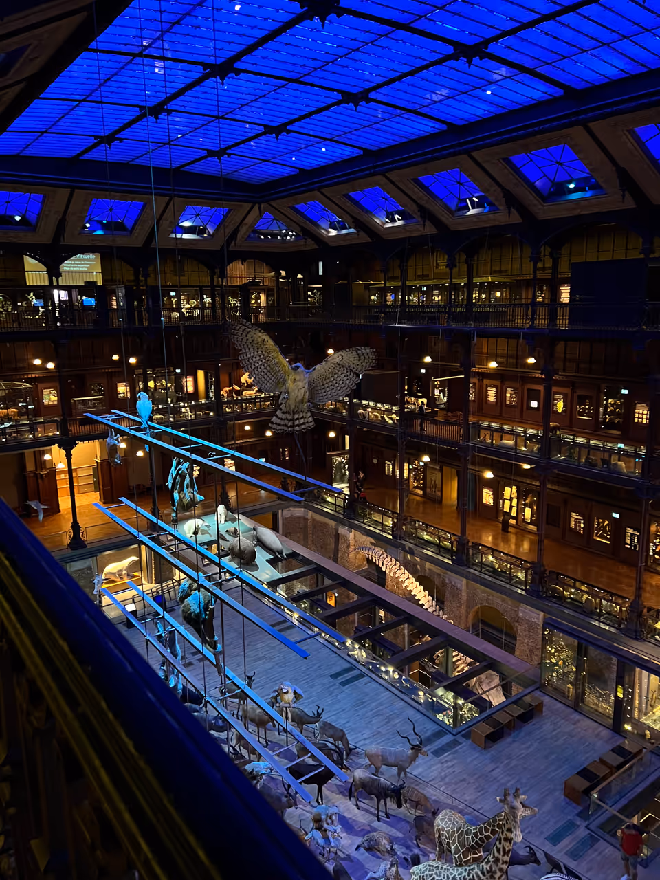 The Great Gallery of Evolution at the museum in the Jardin des plantes