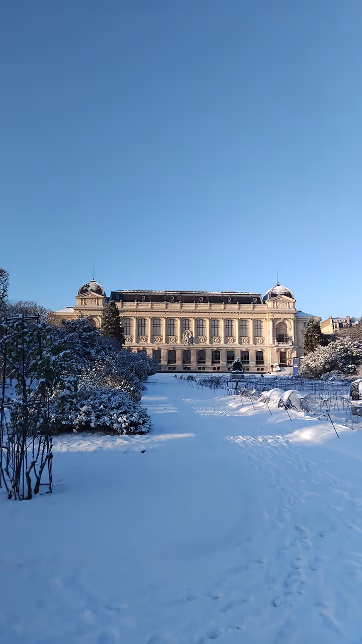National Museum of Natural History under the snow in Jardin des plantes