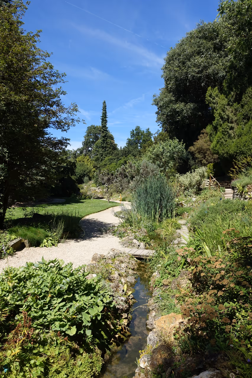 Jardin des plantes in Paris