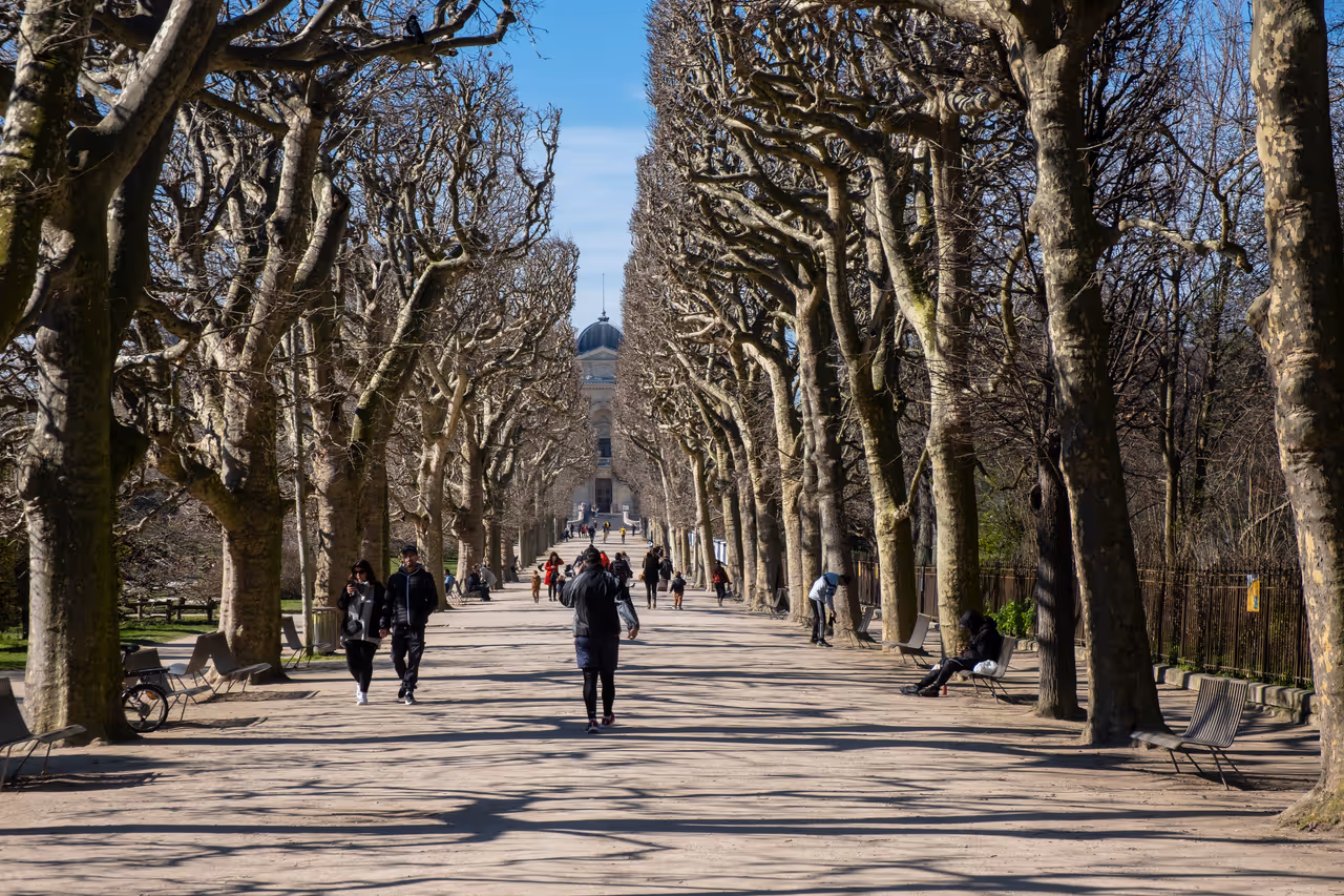 Jardin des plantes in Paris during autumn
