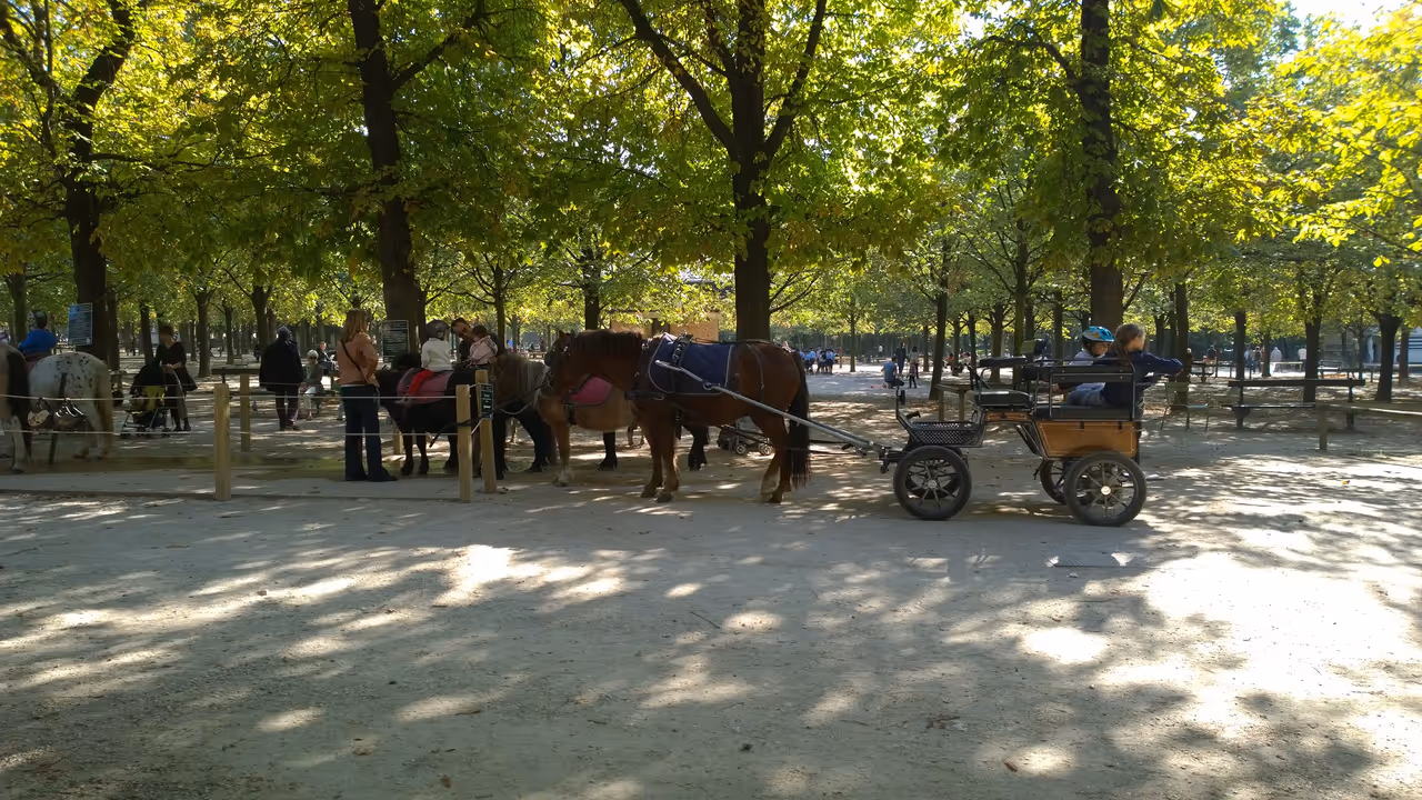 Carriage and horses at the Luxembourg gardens in Paris