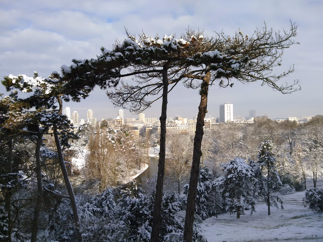 View from Parc des buttes-chaumont during winter