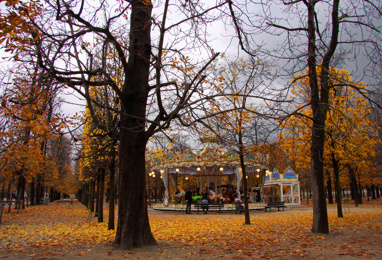 Tuileries garden in Paris