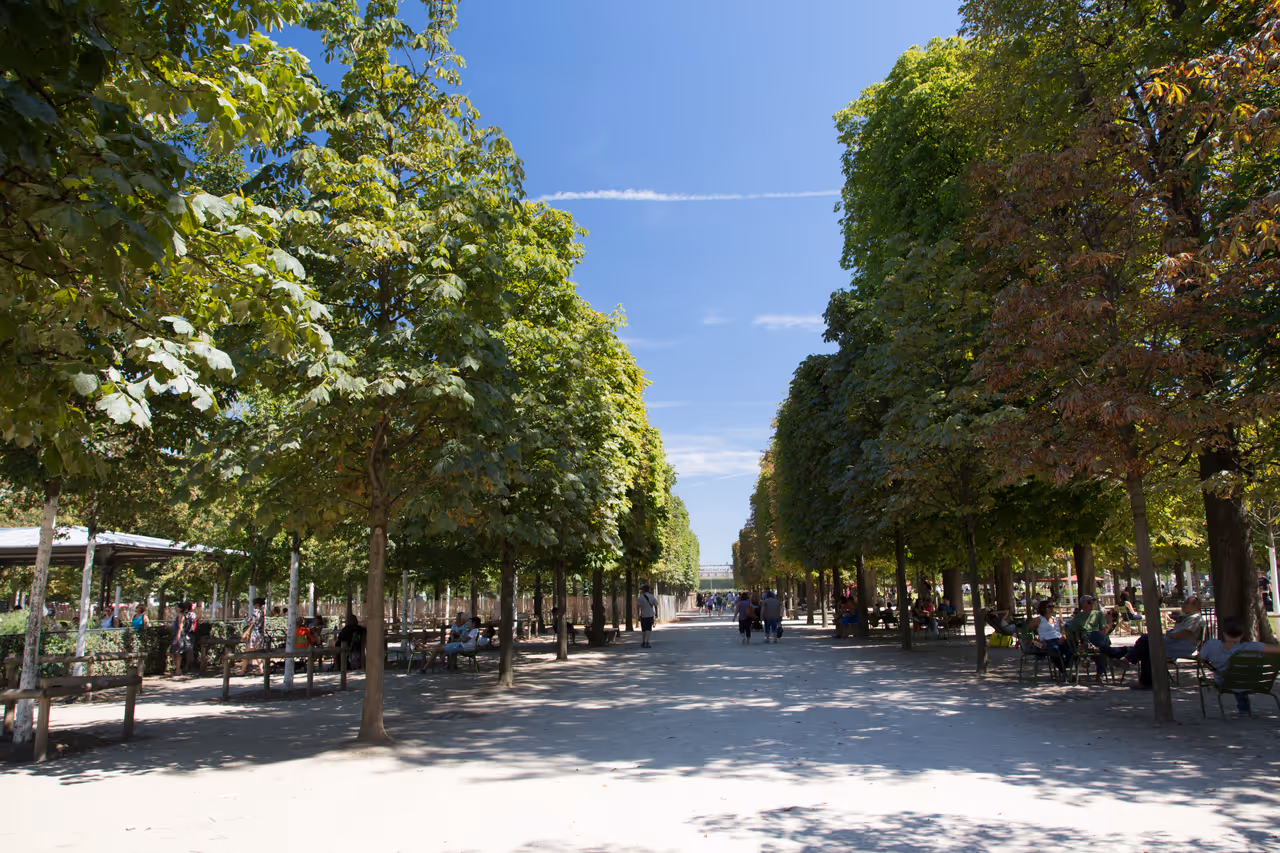 Tuileries garden in Paris