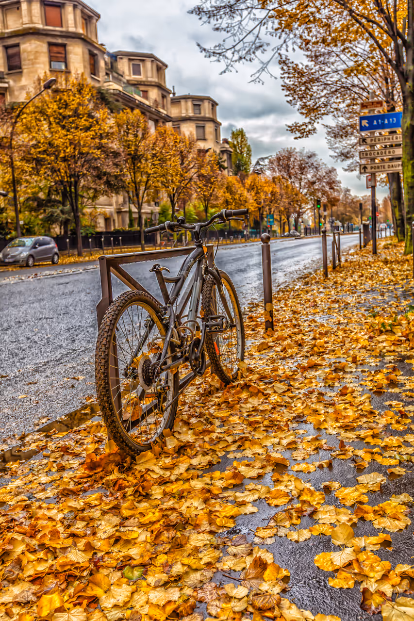 Autumn highlight in Paris
