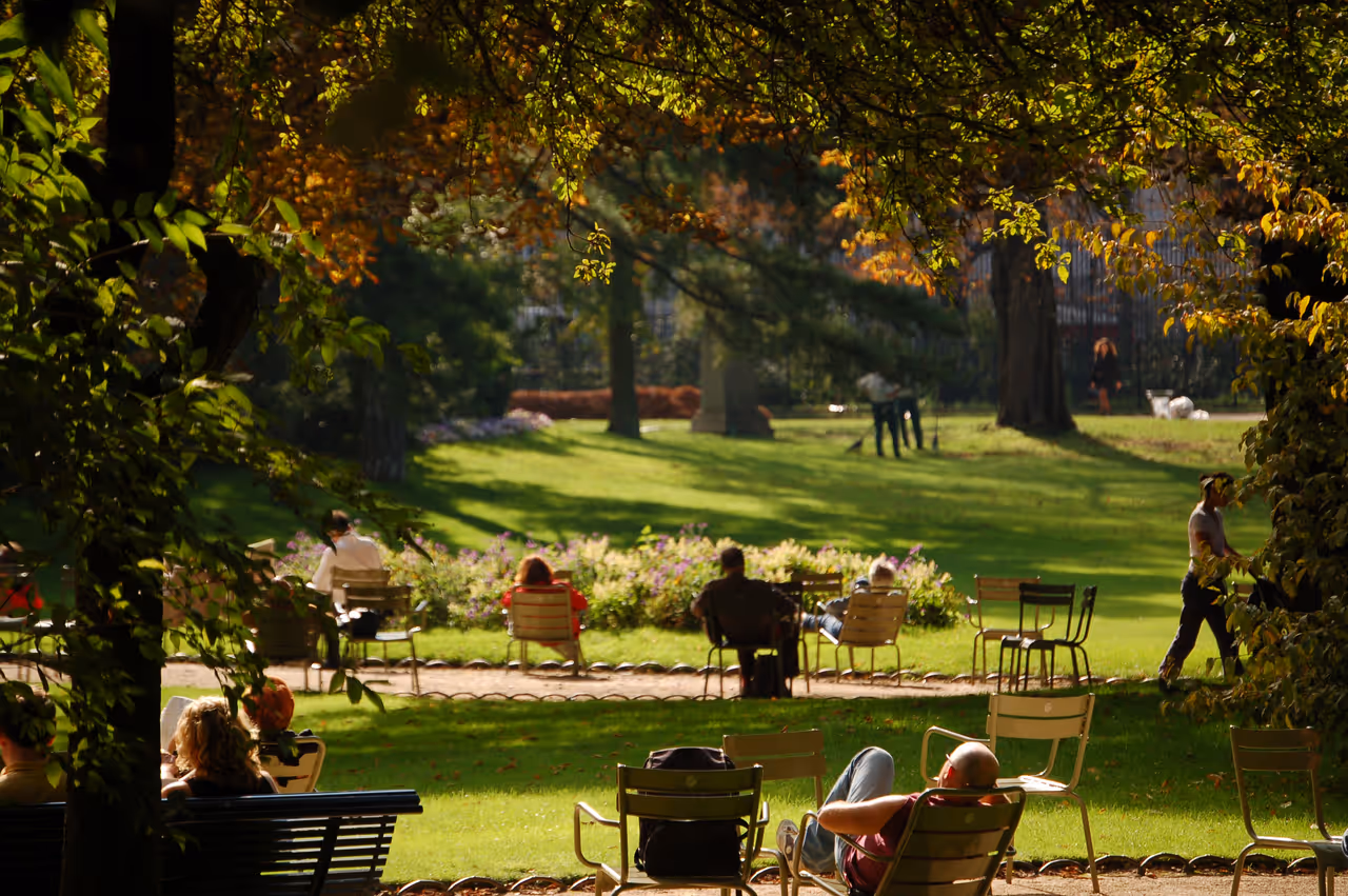 Autumn highlight in Paris
