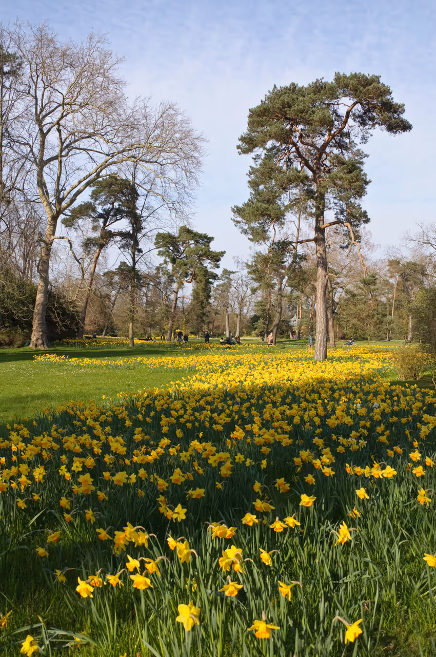 Spring highlight in Paris