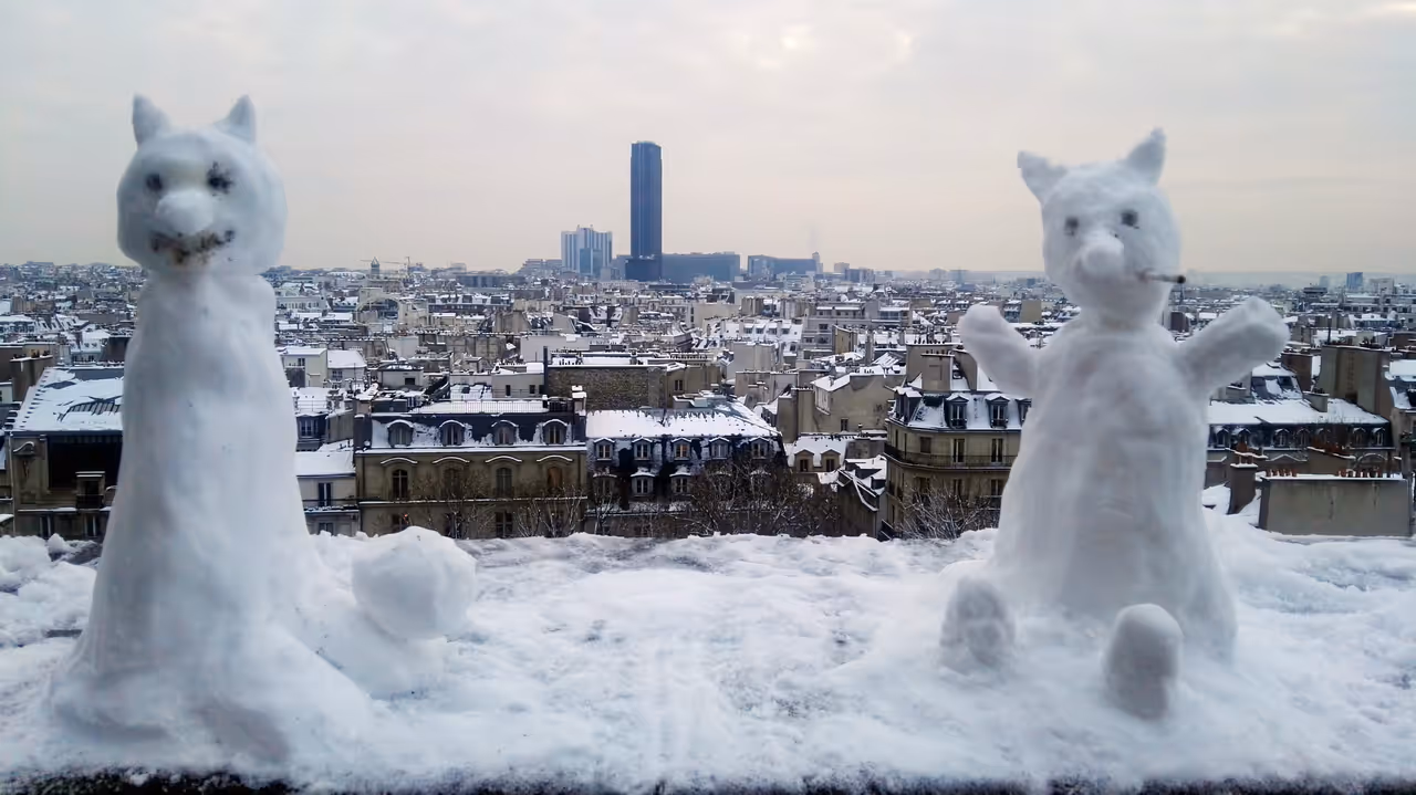 Winter highlight in Paris