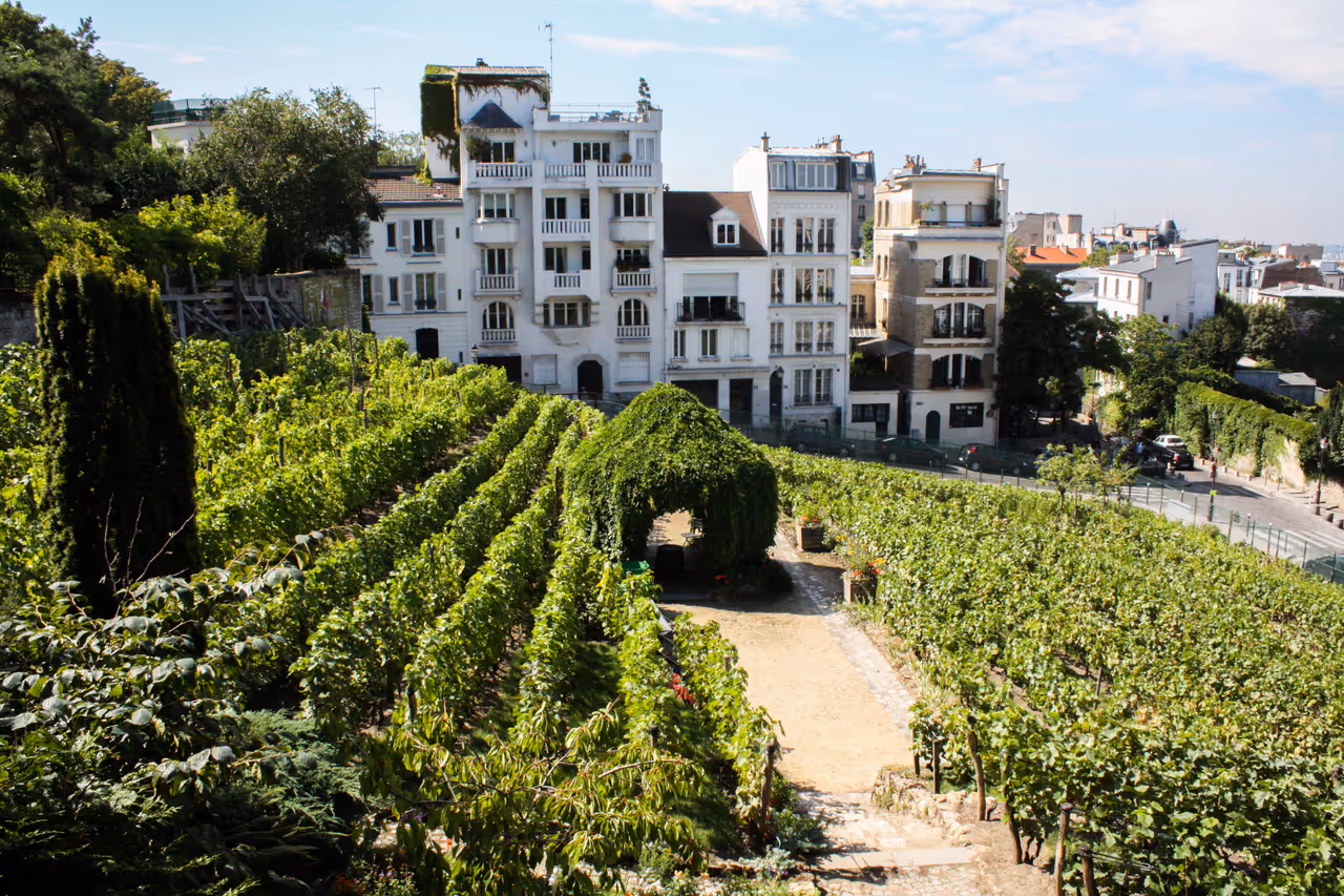 Montmartre's hidden paths stroll in Paris