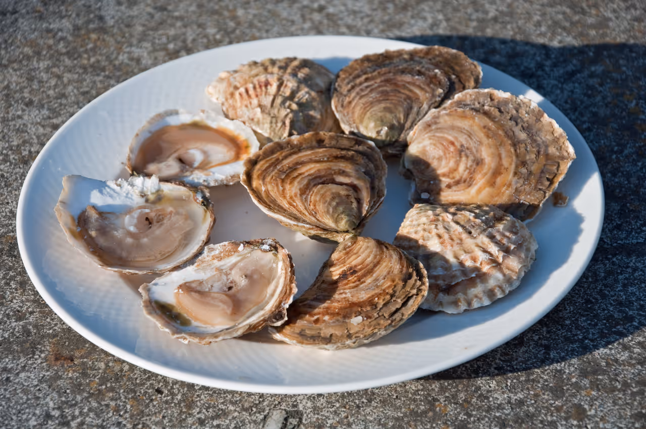 Cancale oysters food, Saint-malo