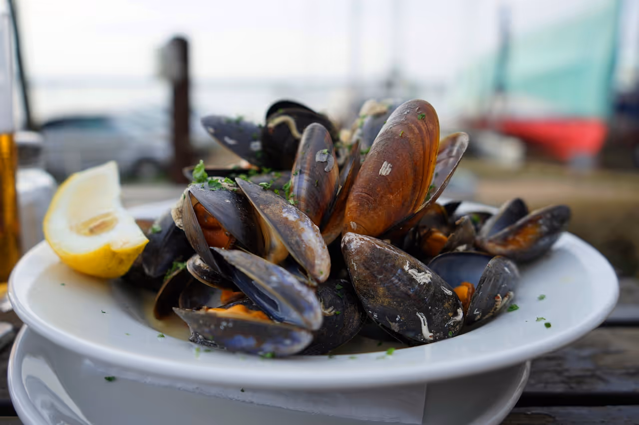 Mussels in white wine food, Saint-malo