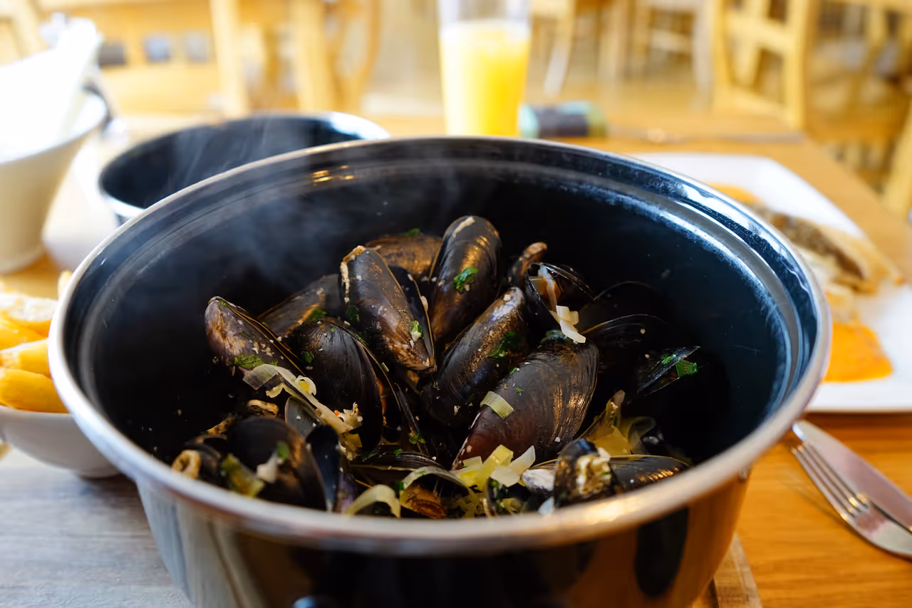 Mussels in white wine food, Saint-malo
