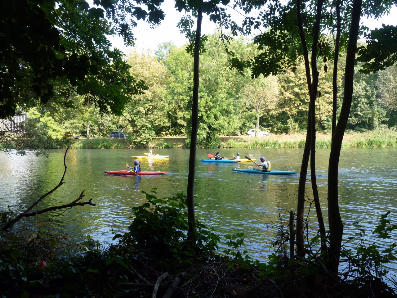 Kayaking / canoeing in Strasbourg