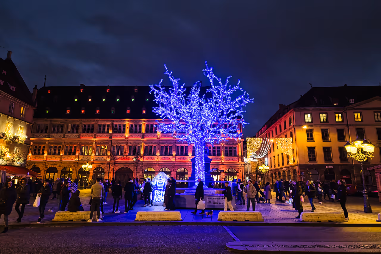 Christmas decorations showing a blue tree