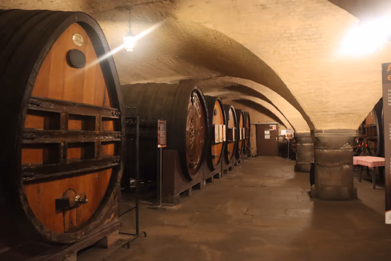 Historic cellar of the hospices in Strasbourg