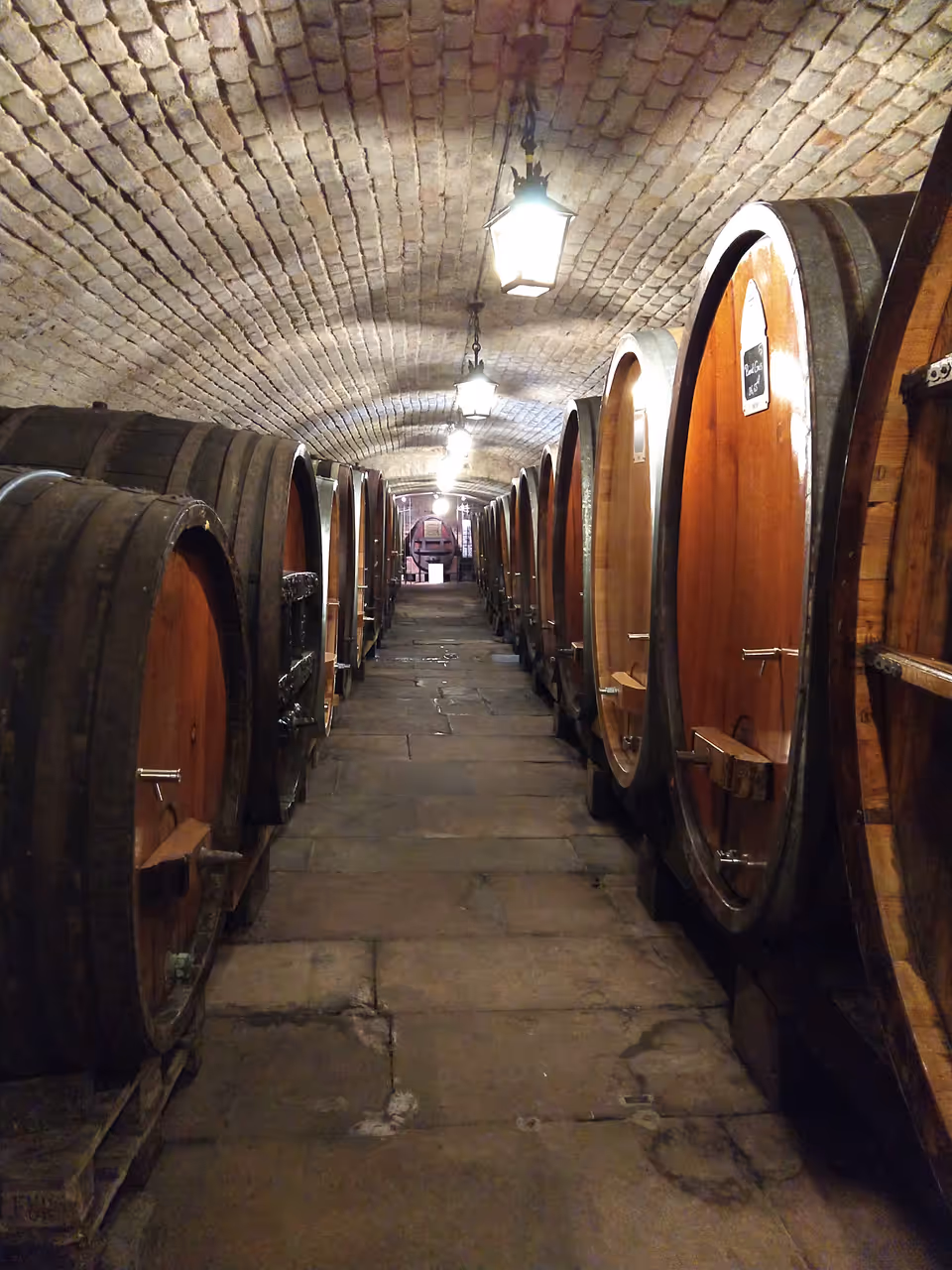 Historic cellar of the hospices in Strasbourg