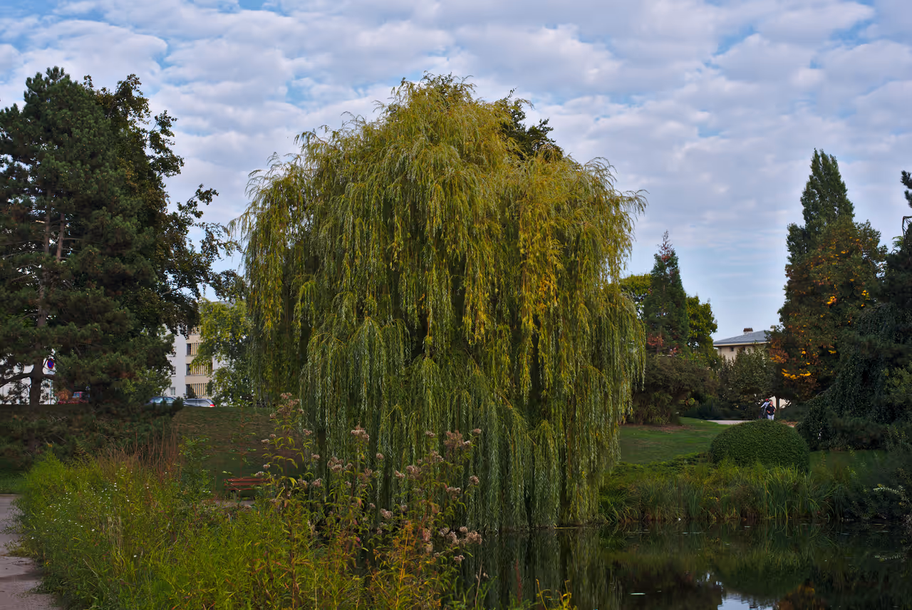 Citadel park in Strasbourg