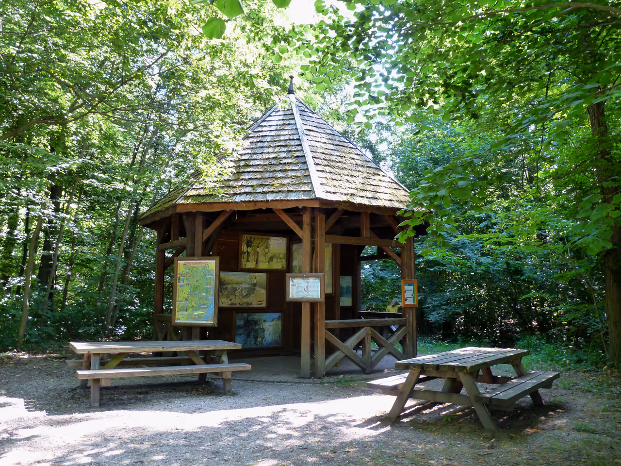 Robertsau forest in Strasbourg