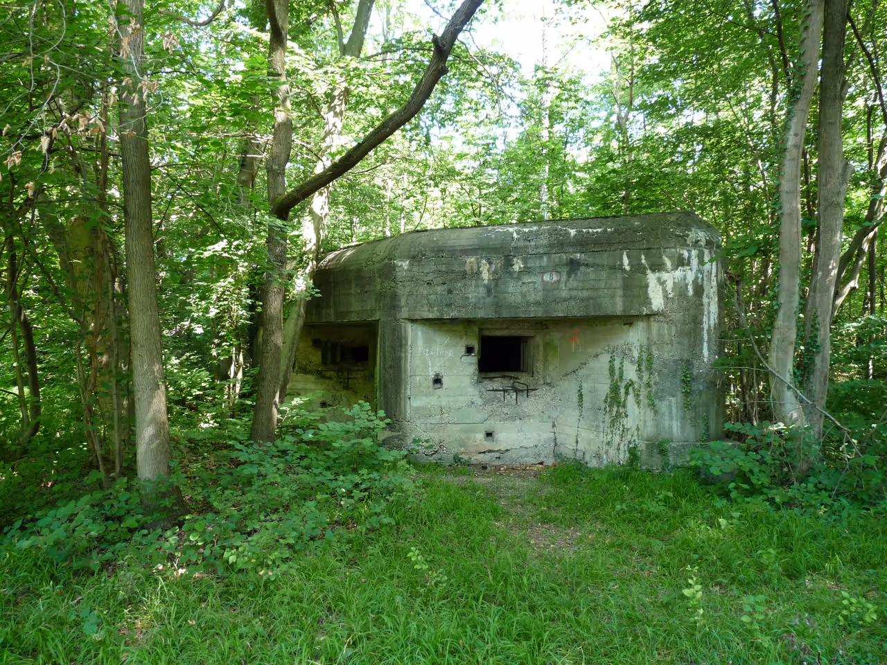 Bunker in the Robertsau forest in Strasbourg