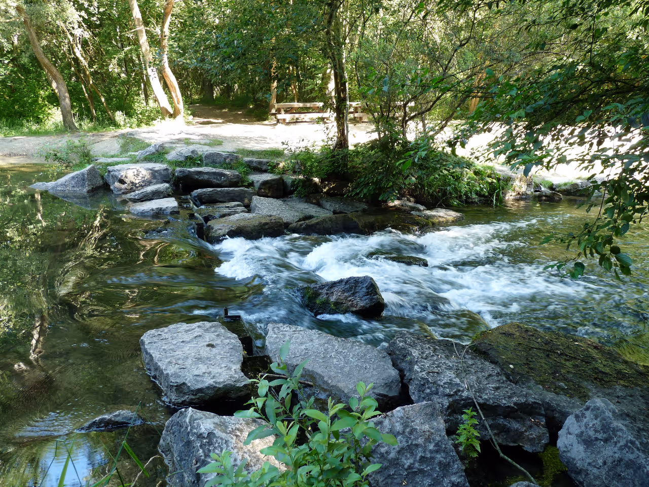 Robertsau forest river in Strasbourg