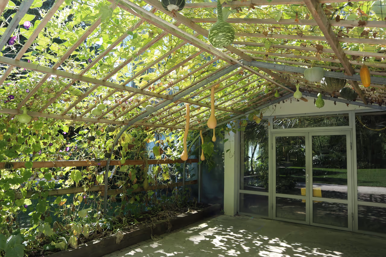 University botanical garden in Strasbourg