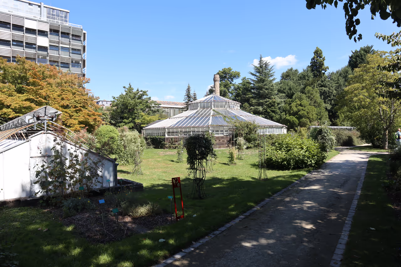 University botanical garden in Strasbourg