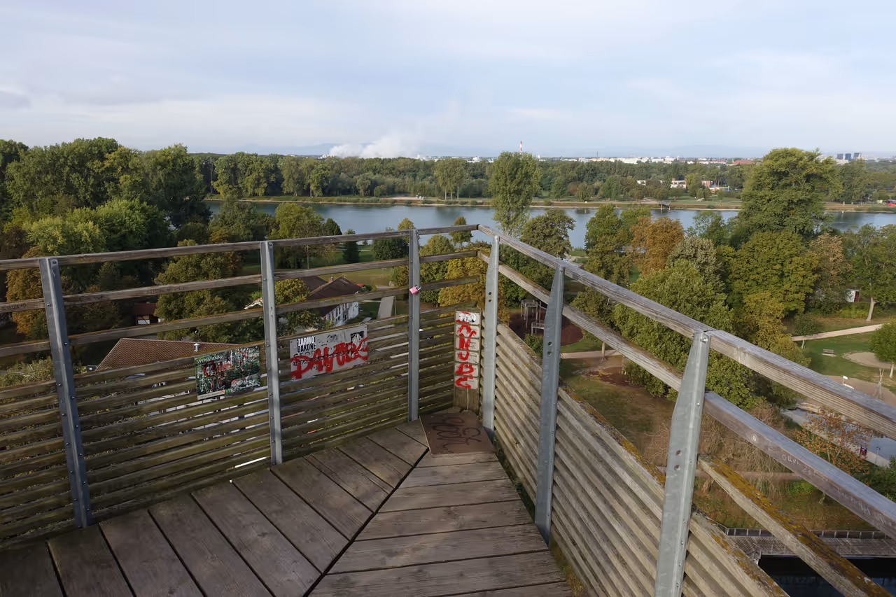 View from a tower in the Two Shores Garden