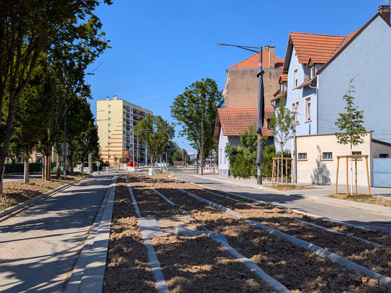 Spring highlight in Strasbourg