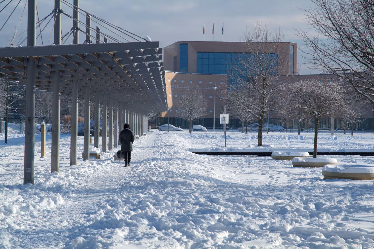 Winter highlight in Strasbourg