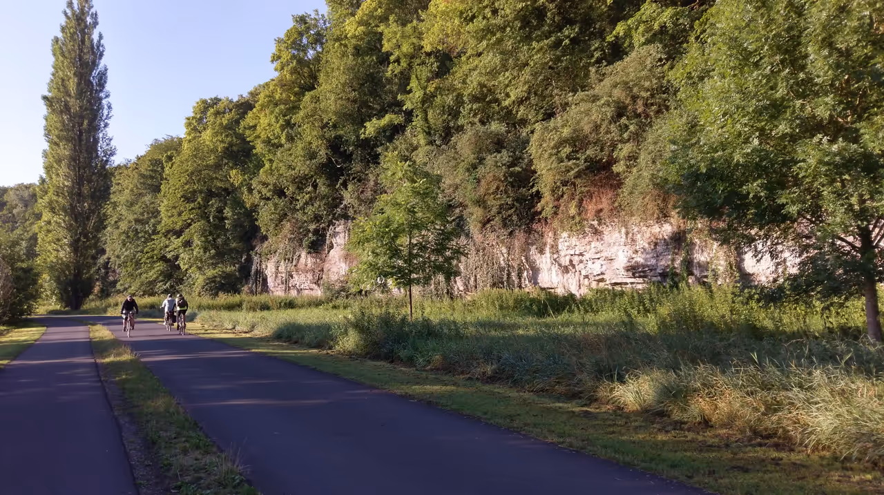 Cycling the main river path in Würzburg