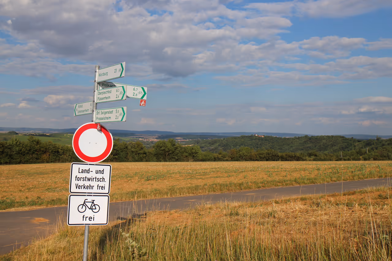 Cycling the main river path in Würzburg