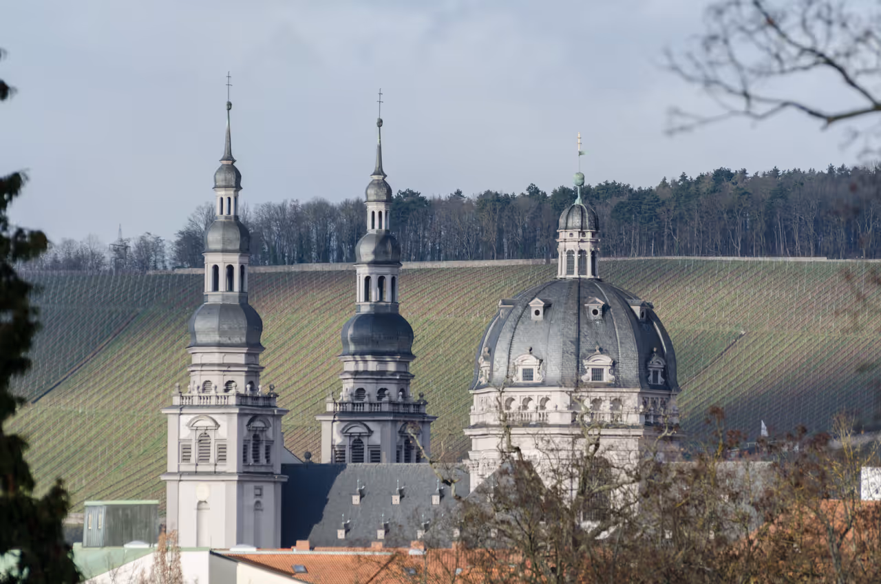 Stift haug church in Würzburg