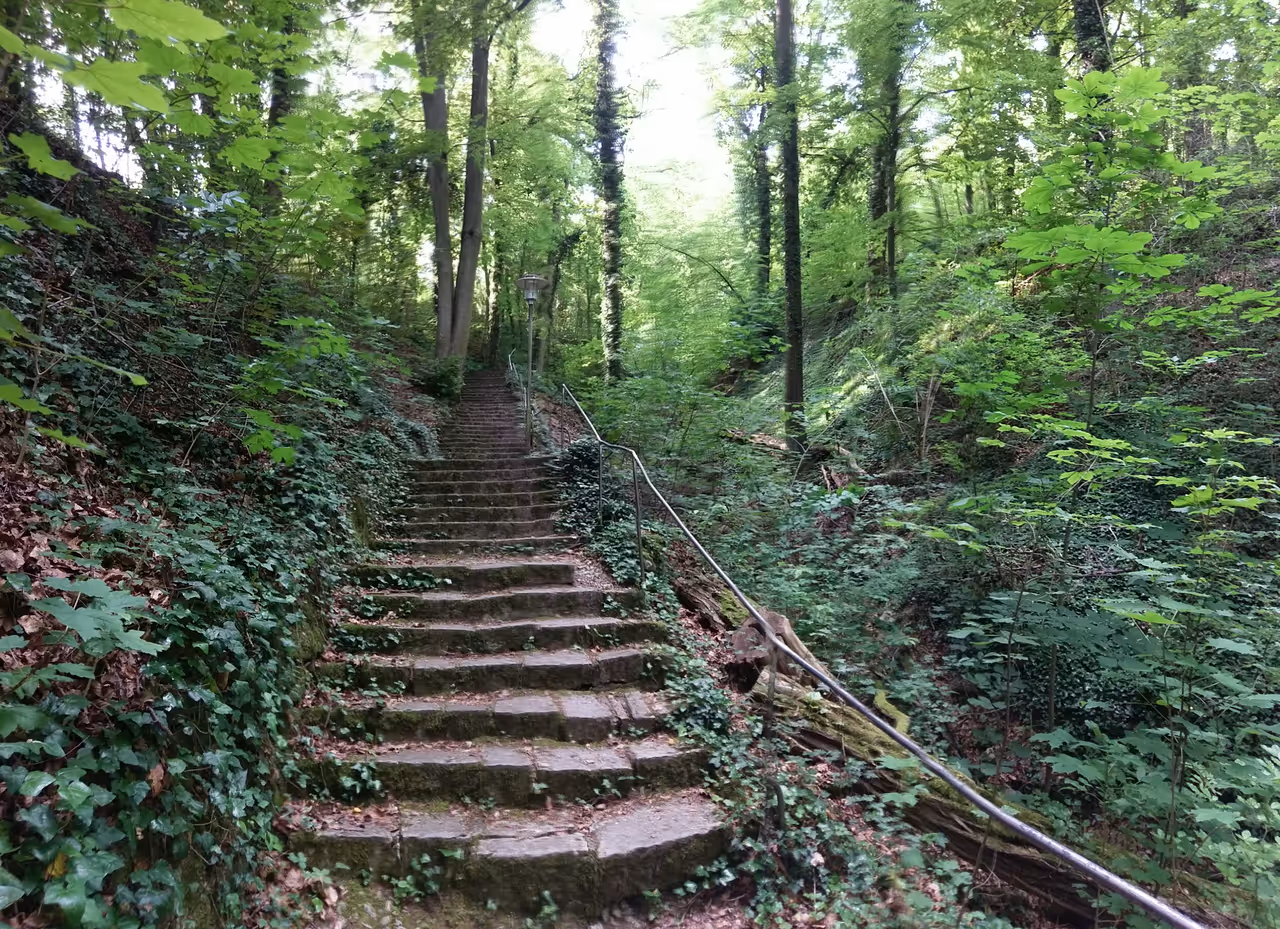Natural monument "Annaschlucht" in Würzburg