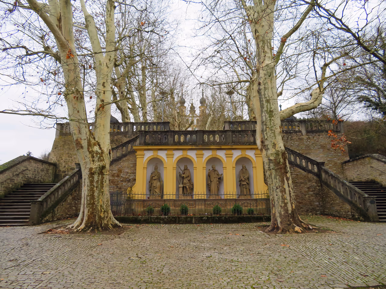 Natural monument "Platanenallee" Würzburg