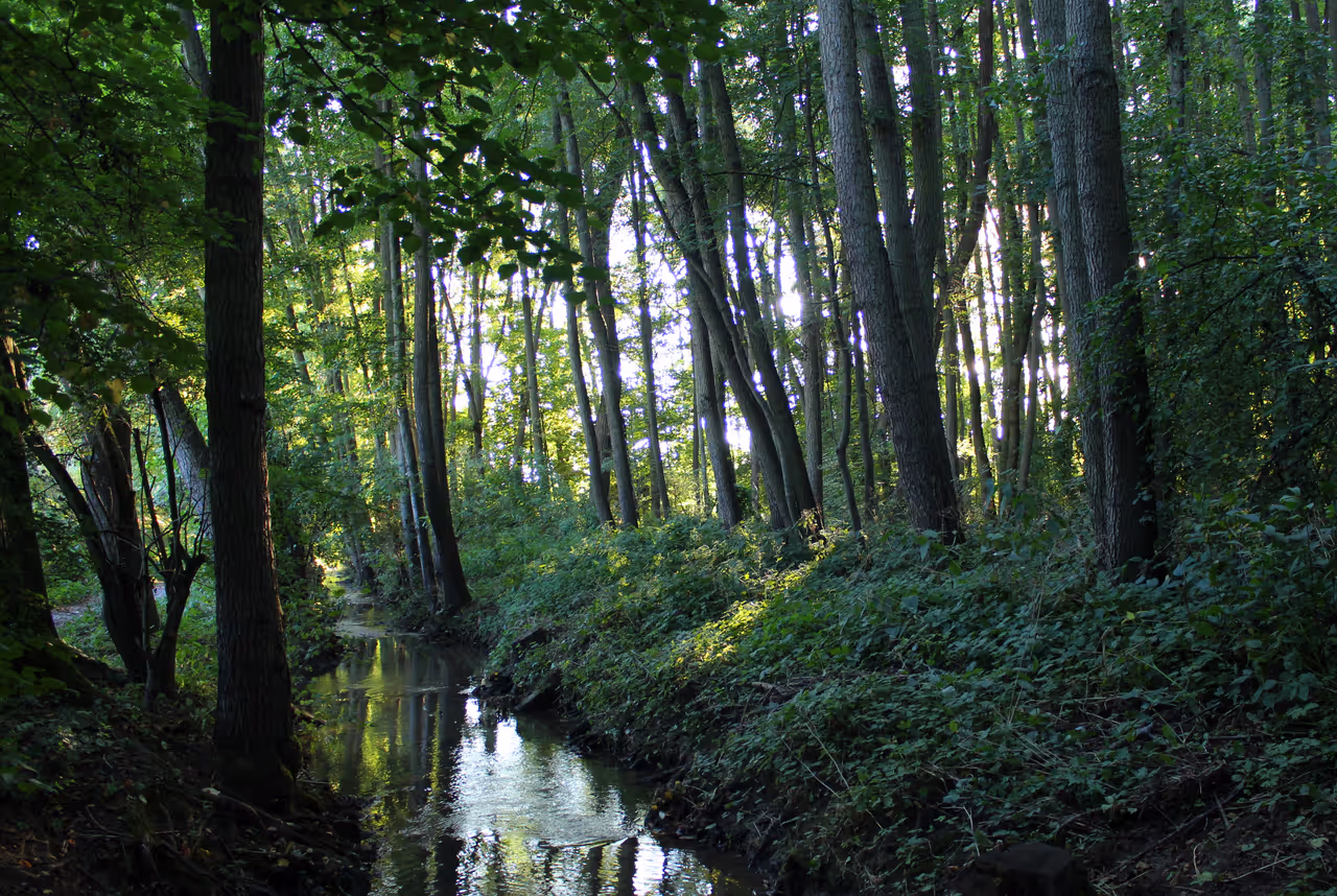 Protected landscape feature in Würzburg