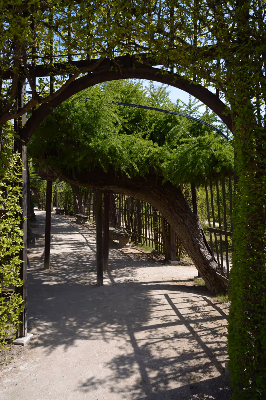 Residence Garden in Würzburg